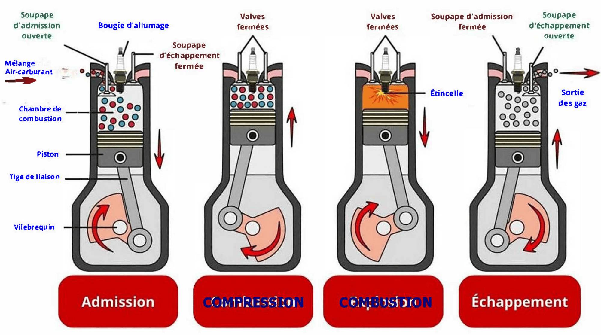 Les quatre temps moteur